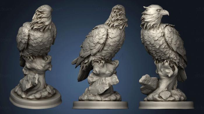3D model Falcon (STL)